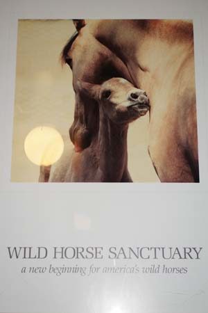 https://wildhorsesanctuary.org/wp-content/uploads/2020/08/poster-mare-and-foal-300x450.jpg