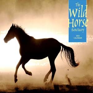 https://wildhorsesanctuary.org/wp-content/uploads/2022/11/2023-calendar-front-pic-1-300x300.jpg